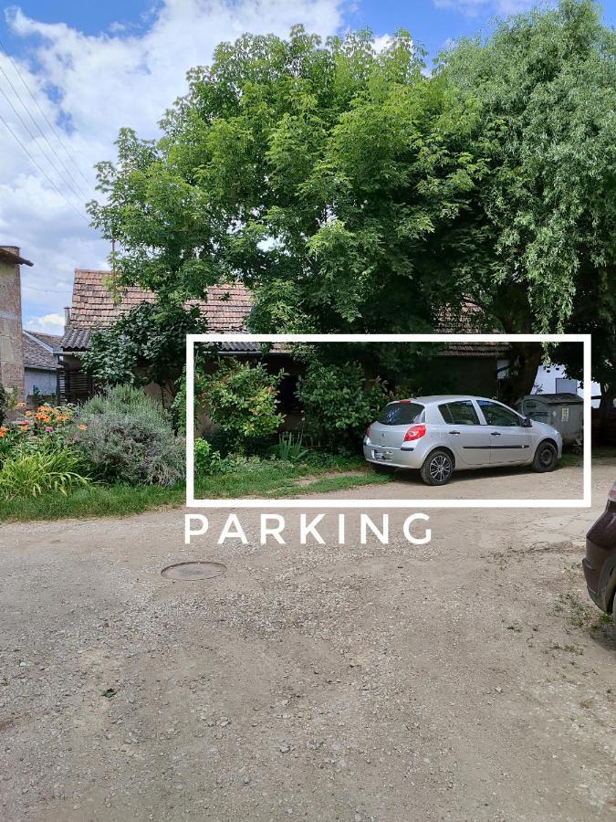 Ferienwohnung Stan Andja Sremska Mitrovica Exterior foto