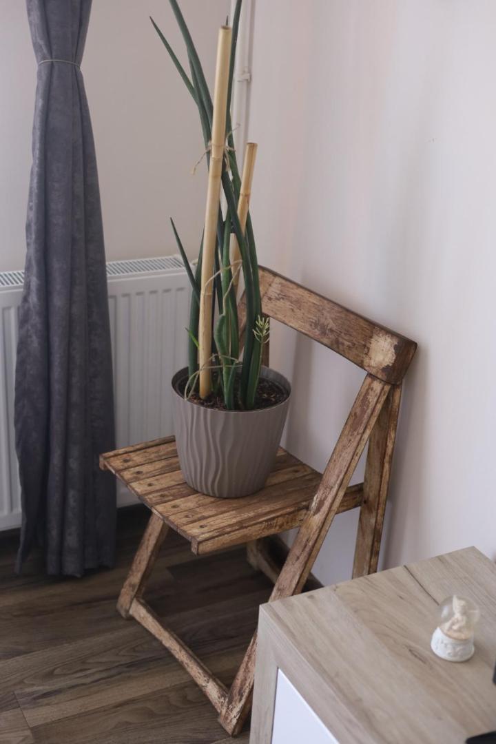 Ferienwohnung Stan Andja Sremska Mitrovica Exterior foto